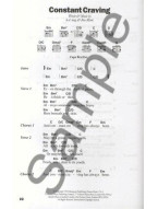 The Big Acoustic Guitar Chord Songbook (Platinum Edition) (akordy, texty, kytara)