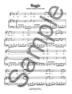 Foster & Allen Songbook (noty, klavír, zpěv, kytara, akordy)