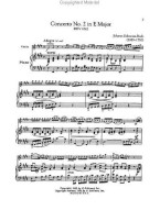 Schirmer's Library of Musical Classics: Violin Classics - Intermediate to Advanced Level (noty, housle, klavír)