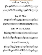 300 Fiddle Tunes (noty, housle)
