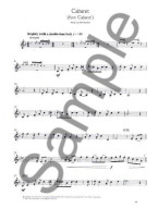 Solo Debut: Playalong Showtunes - Easy Clarinet Solos (noty, klarinet)
