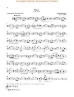 The Cello Collection - Easy/Intermediate (noty na violoncello, klavír) (+audio)