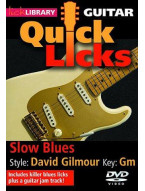 Lick Library: Quick Licks - Slow Blues David Gilmour (video škola hry na kytaru)