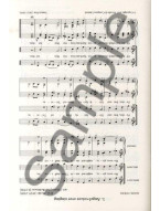 The Novello Book Of Descants (noty, zpěv, soprán, varhany)