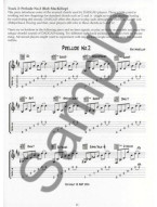 Rob MacKillop: The Scottish Guitar - 40 Scottish Tunes For Fingerstyle Guitar (tabulatury, noty, kytara) (+audio)