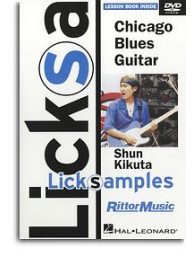 LickSamples: Chicago Blues Guitar (video škola hry na kytaru)