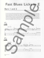 Buzz Feiten: Blues By The Bar - Master Class (tabulatury, noty, kytara) (+audio)