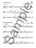 A New Tune A Day: Performance Pieces (noty, příčná flétna) (+audio)