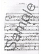 37 Violin Pieces You Like to Play (noty, housle, klavír) (+audio)