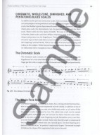 Mark White: The Practical Jazz Guitarist (noty na kytaru) (+audio)
