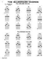 Mel Bay: Banjo Chords (akordy na banjo)