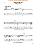 Stevie Ray Vaughan Guitar Signature Licks - 2nd Edition (tabulatury, noty, kytara) (+audio)