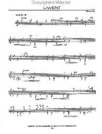 Twenty Studies in Fixed Positions for Classic Guitar (noty na kytaru)