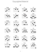 Modern Guitar Method Grade 2, Essential Guitar Chords (akordy na kytaru)
