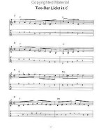 101 Red Hot Bluegrass Guitar Licks (noty, tabulatury na kytaru) (+audio)