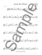 Celtic Music For Recorder (noty na zobcovou flétnu) (+audio)
