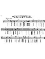 Deluxe Tinwhistle Songbook (noty na irskou flétnu)