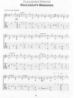 Fingerpicking Fiddle Tunes - Volume 2 (noty, tabulatury na kytaru) (+audio)