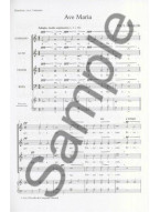 Paul Mealor: Ave Maria (SATB) (noty pro sborový zpěv) - SADA 5 ks