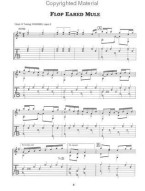 Fiddle Tunes, Classic Rags & Cakewalks (noty, tabulatury na kytaru) (+audio)