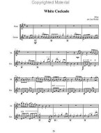 Early American Melodies for Flute and Guitar (noty na kytaru, příčnou flétnu)