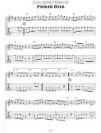 Fancy Fiddle Tunes for Flatpicking Guitar (noty, tabulatury na kytaru) (+audio)