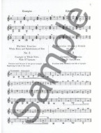 Otakar Ševčík: School Of Bowing Technic Op.2 - Parts 1 And 2 (noty na housle)