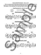 400 Smokin' Bluegrass Banjo Licks (tabulatury na banjo) (+audio)