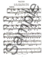 Johann Strauss II: Favorite Waltzes Polkas And Other Dances For Solo Piano (noty na sólo klavír)
