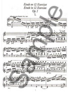 Franz Liszt: Complete Etudes For Solo Piano Series I (noty na sólo klavír)