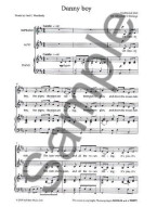 Danny Boy And Other Classic Irish Melodies (SA) (noty pro dvojhlasý sborový zpěv, klavír)