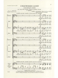 Robert Schumann: Ungewisses Licht Op.141 No.2 (noty na sborový zpěv SATB)