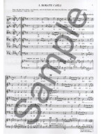 The Chester Book Of Motets Vol. 16: Christmas And Advent Motets For 6 Voices (noty na sborový zpěv SATB)