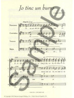 Rodrigo: Yo Tinc Un Burro Para Coro (noty na sborový zpěv SATB)
