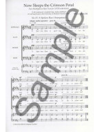 Paul Mealor: A Spotless Rose - SATB divisi (noty na sborový zpěv SATB) - SADA 5 ks