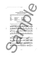 Trevor Wye: The Orchestral Flute Practice Book 2 (noty na příčnou flétnu)