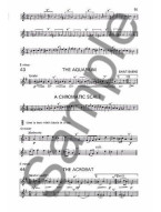 A Beginners Book For The Flute Part 2 (noty na příčnou flétnu)