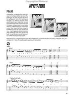 Hal Leonard Flamenco Guitar Method (noty, tabulatury na kytaru) (+audio)