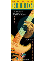 Troy Stetina: Barre Chords (akordy na kytaru)