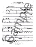 Flute Music Of The Baroque (noty na příčnou flétnu, klavír)