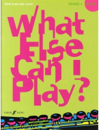 What Else Can I Play? Flute Grade Four (noty na příčnou flétnu, klavír)