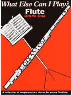 What Else Can I Play? Flute Grade One (noty na příčnou flétnu, klavír)
