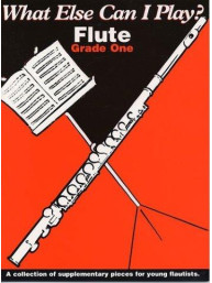 What Else Can I Play? Flute Grade One (noty na příčnou flétnu, klavír)