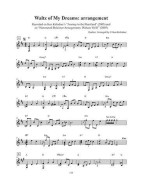 The Sandbridge Waltz And Slow Air Collection: Arranged For Hammered Dulcimer (noty na dulcimer)