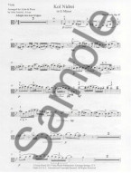 Max Bruch Opus 47: Kol Nidrei (noty na violu, klavír)