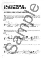 100 Authentic Blues Harmonica Licks (noty na harmoniku) (+audio)