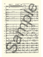 Giuseppe Verdi: Falstaff (Full Score) (noty pro orchestr, partitura)