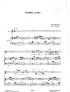 Jiří Pavlica: Písně Hradišťanu - Radio-album