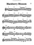 Pocketbook Deluxe Series: Fiddling Tune Book (noty na housle)