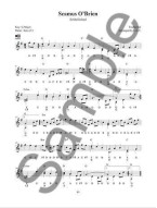 Embellishments For Hammered Dulcimer (noty na kladívkový dulcimer) (+audio)